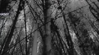 Малый припадок (2022)