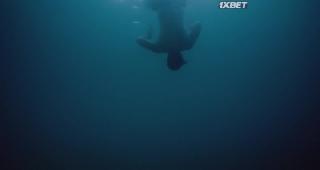 Что если (2023)