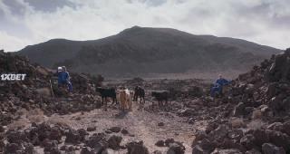 Последняя воля (2021)