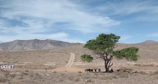 Последняя воля (2021)