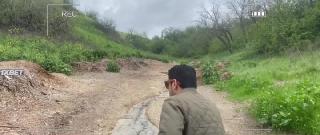 Кокаиновая пума (2023)