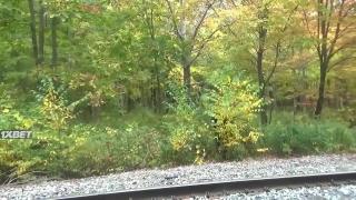 Просто сдайся (2021)