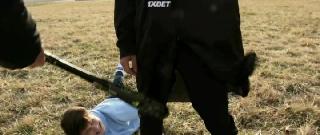 Пинпойнт (2022)