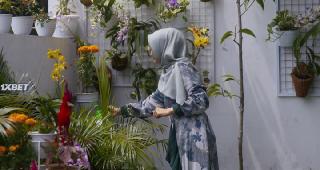 Сердце Сухиты (2023)