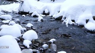 Снежные крошки  (2023)