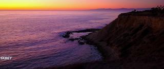 Последняя роза (2022)