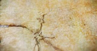 Трилогия о богах. Часть 1 (2023)