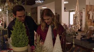 Серебристая ель судьбы (2022)