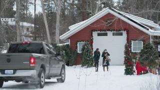 Серебристая ель судьбы (2022)