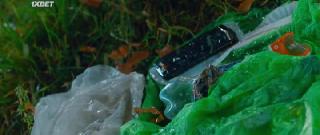 Волшебная коробочка (2023)