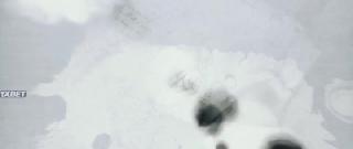  (2023)