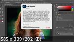 Adobe Photoshop 2024 25.1.0.120 (x64) Lite Portable [Multi/Ru]