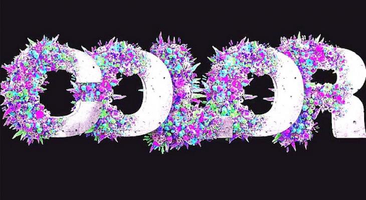 Flower 3D Type 1694010 - Project for After Effects