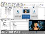 XnViewMP 1.6.1 Portable by PortableApps