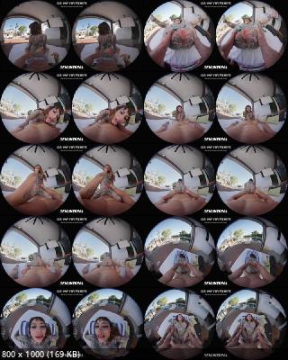 SLR Originals, SLR: Tiger Lilly - Poolside Romance (39107) [Oculus Rift, Vive | SideBySide] [4000p]