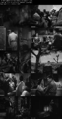 The Capture 1950 1080p BluRay x265 _5c95559a4d85dcaf907ca627d71cad1a