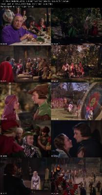 The Adventures Of Robin Hood 1938 1080p BluRay x265 _71f29e5487993c6b0da9f739c53a9a3e