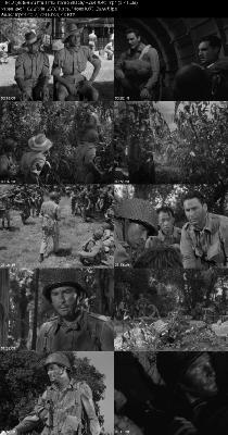 Objective Burma 1945 1080p BluRay H264 AAC _cd87c027dfee80175df645e8c04de7ab