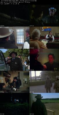 Borderline (1980) 1080p WEBRip-LAMA _32be856c4681a8fa08532b6171d659d0