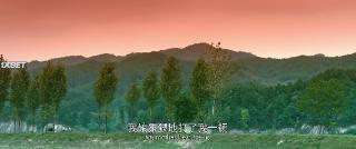    (2022)