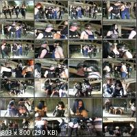 Clips4Sale - THE SLAVE Part 2 (HD/720p/175 MB)