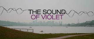  -  / The Sound of Violet (2022/WEB-DL/WEB-DLRip)