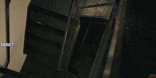   (2023)