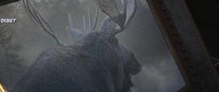   (2021)
