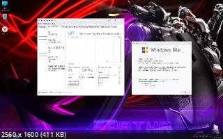 Windows 10 Lite 22H2 Build 19045.3803 by Den (2023/RU)