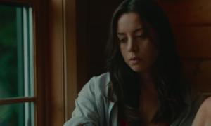 Чёрный медведь / Black Bear (2020) WEB-DL 1080p