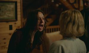 Чёрный медведь / Black Bear (2020) WEB-DL 1080p