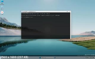 Windows 11 23H2 x64  by OneSmiLe (26020.1000) (2024/RU)