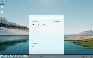 Windows 11 23H2 x64  by OneSmiLe (22635.2921) (2024/Ru)
