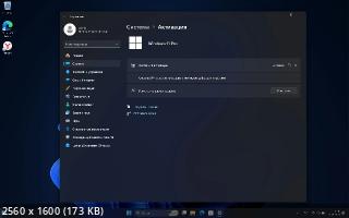 Windows 11 Pro 23H2 Build 22631.3007 Full January 2024 (2024/Ru)
