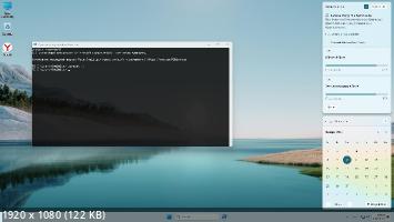 Windows 11 x64 Rus by OneSmiLe (22631.3007) (2024/Ru)