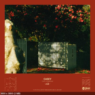 Casey - How to Disappear (2024)