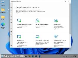 Windows 11 23h2 22631.3007 AIO 36in1 (x64) by IZUALISHCHE (v12.01.24) (2024/En/Ru)