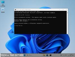 Windows 11 23H2 (22631.3007) x64 (3in1) by Brux (2024/Ru)