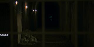 II (2022)
