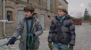    (2022)
