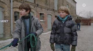    (2022)