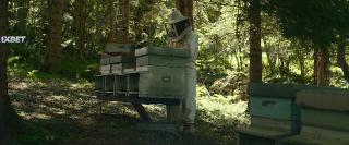  .    (2024)