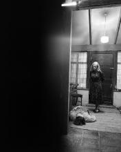 Google chrome и лошадь. Хромом коне. Хромом коне. Наездник книга. Принц на ишаке.